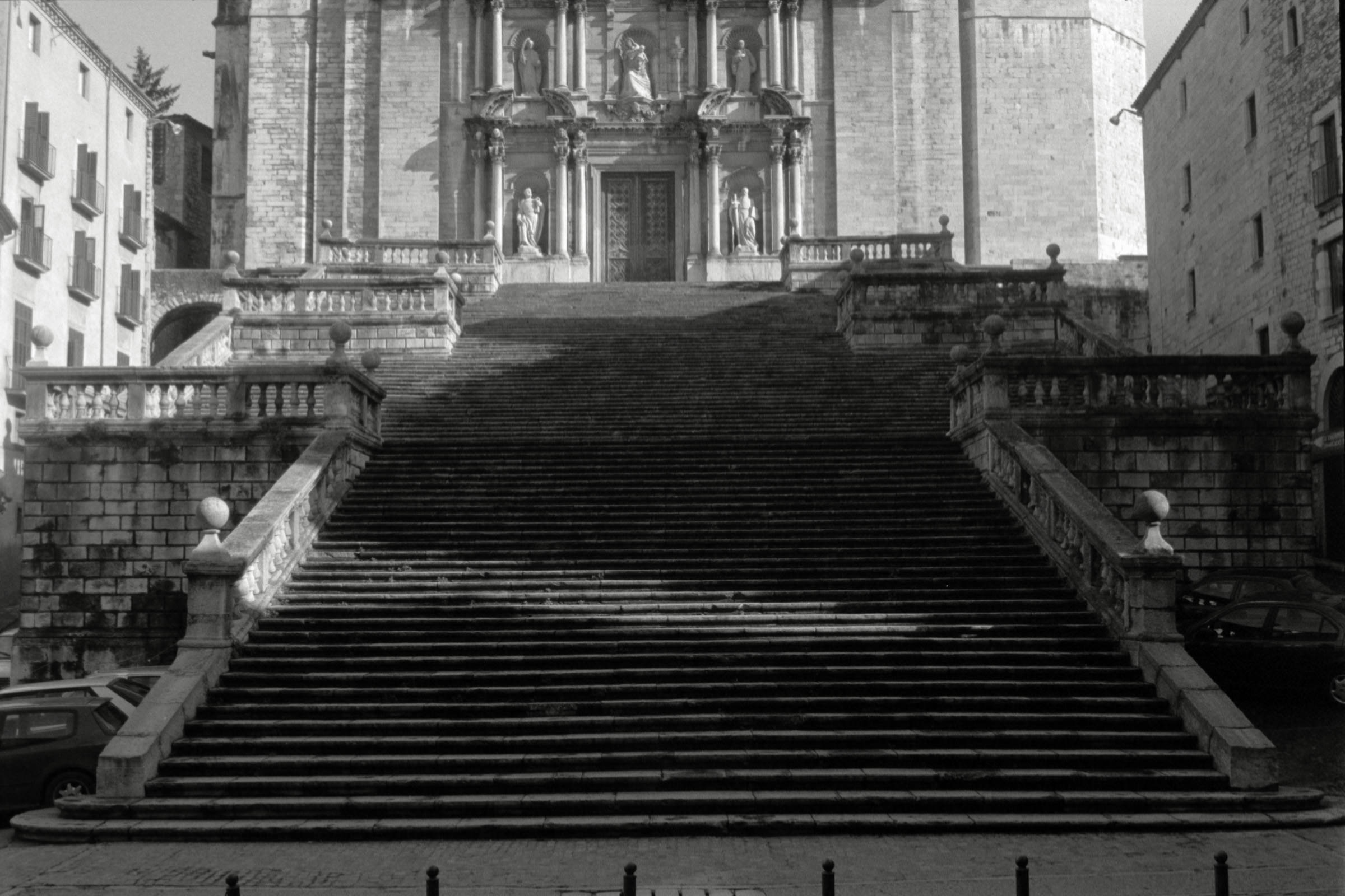 AHP F1996 02 001 sc240816 img19 NLP